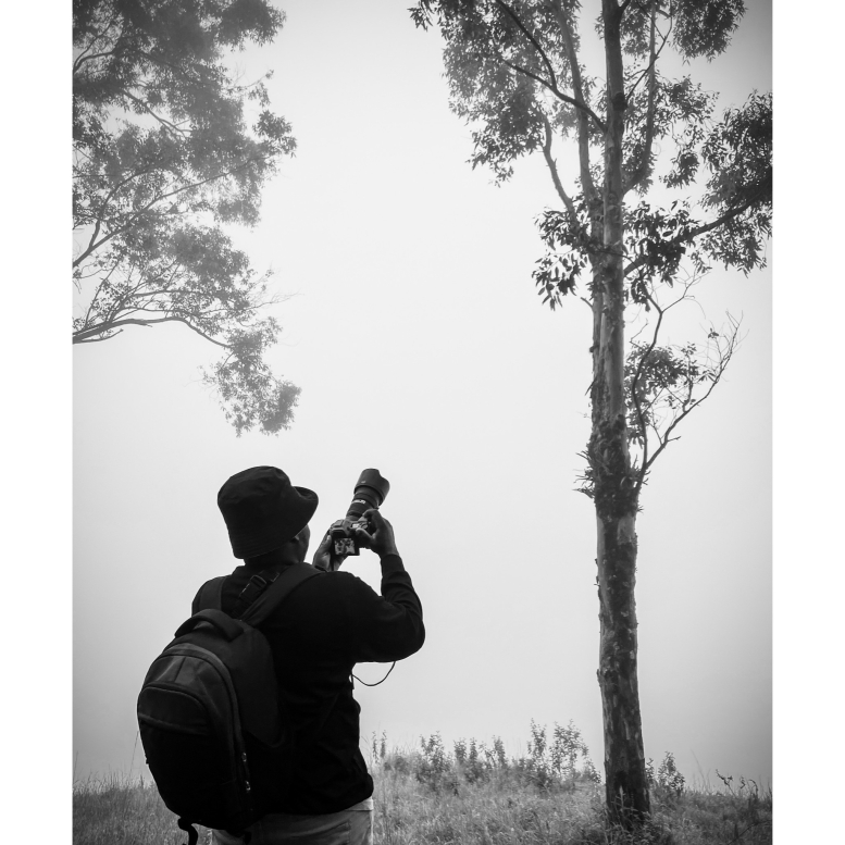 InFrame_1730398581241